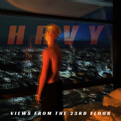 Views from the 23rd Floor Hoodie Bundle